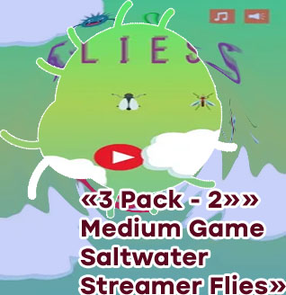Flies game