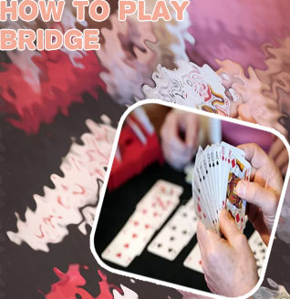 Play bridge hands