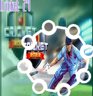 Play online cricket